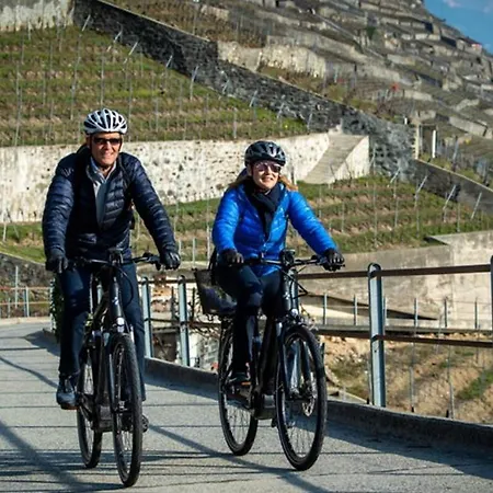 מלון Les Negociants