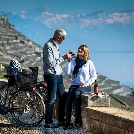 Les Negociants Otel 3*