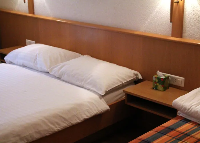 レ ネゴシアン 3* ヴェヴェイ