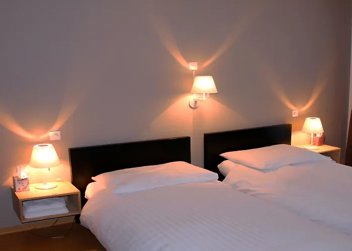 Les Negociants Hotel Vevey